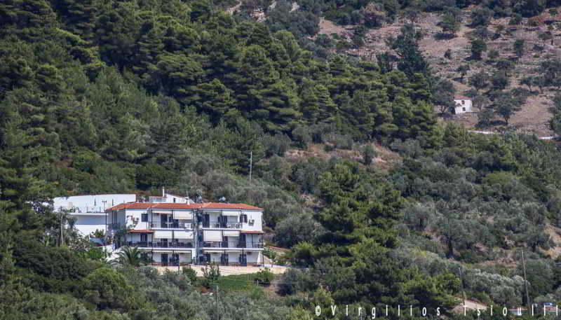 Aegeon Hotel Skopelos Exterior foto